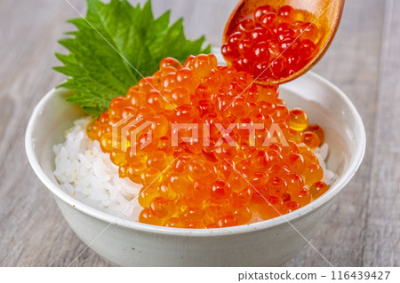 Eat rice with plenty of salmon roe on top 116439427