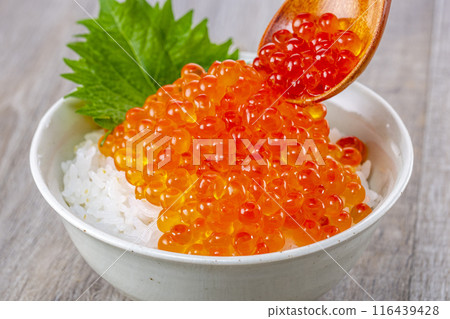 Eat rice with plenty of salmon roe on top 116439428