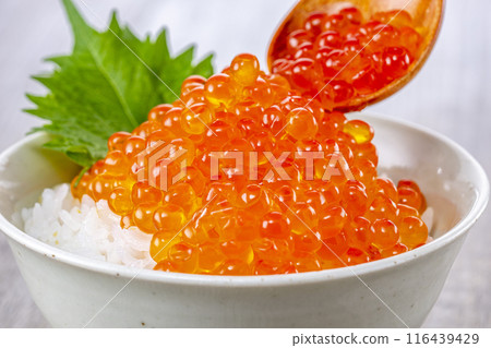Eat rice with plenty of salmon roe on top Eat rice with plenty of salmon roe on top 116439429