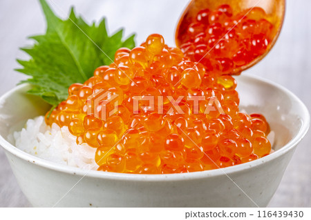 Eat rice with plenty of salmon roe on top 116439430