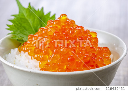 Eat rice with plenty of salmon roe on top 116439431