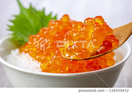 Eat rice with plenty of salmon roe on top 116439432