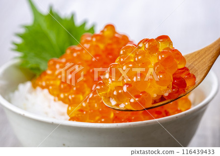 Eat rice with plenty of salmon roe on top 116439433