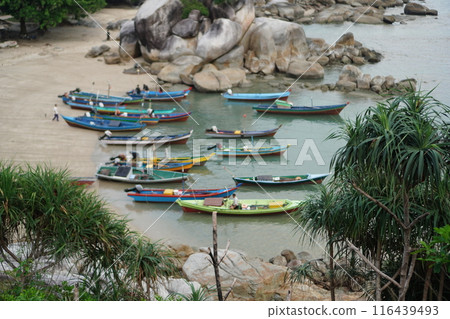 Beach 116439493