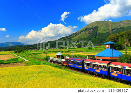 [Kumamoto Prefecture] Minami Aso Railway trolley train and Mt. Aso on a sunny day (Hakusui Kogen Station) 116439517