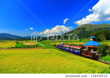 [Kumamoto Prefecture] Minami Aso Railway trolley train and Mt. Aso on a sunny day (Hakusui Kogen Station) 116439518