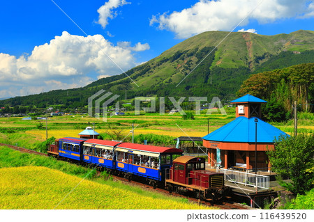 [Kumamoto Prefecture] Minami Aso Railway trolley train and Mt. Aso on a sunny day (Hakusui Kogen Station) 116439520