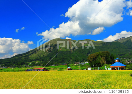[熊本縣] 晴天的南阿蘇鐵路無軌電車和阿蘇山（白水高原站） 116439525