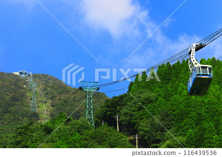 [Oita Prefecture] Beppu Ropeway in sunny weather (Tsurumi-dake) 116439536
