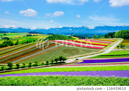 美麗的花園山1 美麗的花園山1 116439618