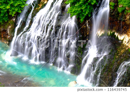Fresh greenery and Shirahige Falls 116439745