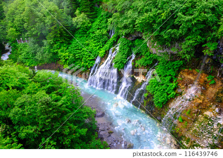 Biei river and white beard waterfall Biei river and white beard waterfall 116439746