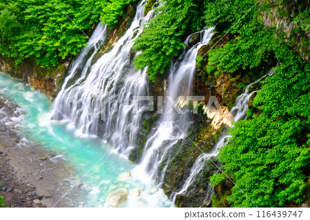 Shirahige Falls in early summer 116439747
