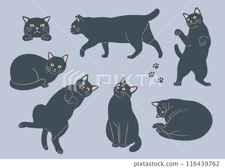 Illustrations of cute cats in various poses Black cat variations Illustrations of cute cats in various poses Black cat variations 116439762
