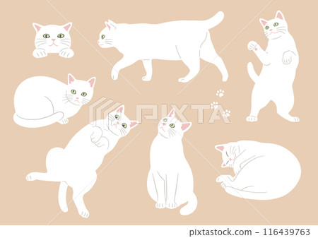 Illustrations of cute cats in various poses White cat variations Illustrations of cute cats in various poses White cat variations 116439763