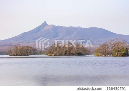 春天的北海道、大沼國定公園、大沼和北海道駒岳 116439791