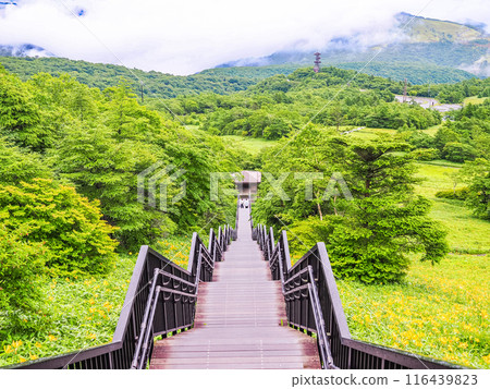 [Tochigi Prefecture] Kirifuri Highlands after the rain: 1,445 steps, sky corridor and day lilies 116439823