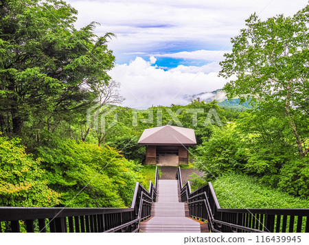[Tochigi Prefecture] Day lilies bloom on the 1,445-step Sky Corridor in Nikko and Kirifuri Highlands 116439945