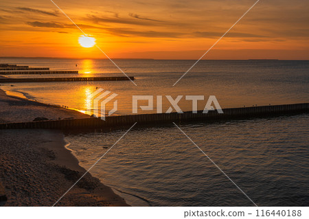 View of sand beach with wooden breakwaters on the Baltic Sea coast on sunset in Zelenogradsk. Russia 116440188