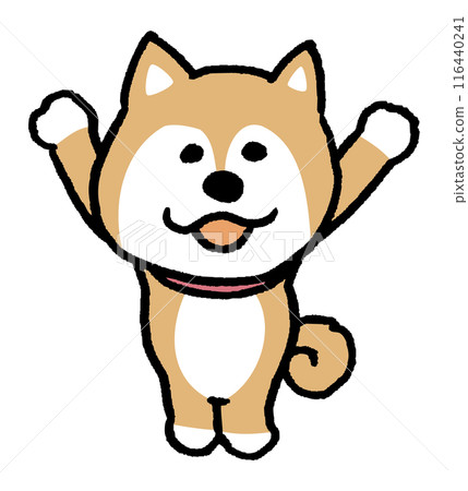 A simple and cute Shiba Inu character with a two-headed body 116440241