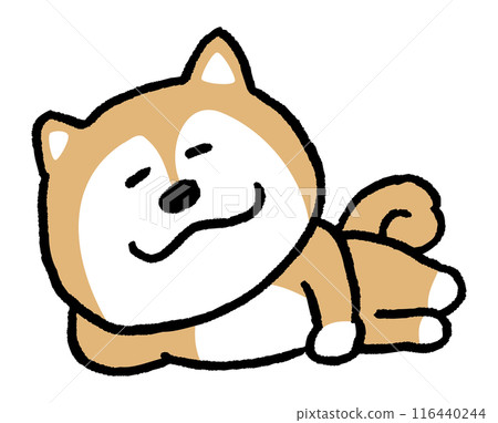 二頭簡單可愛柴犬人物素材 116440244