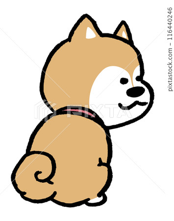 二頭簡單可愛柴犬人物素材 116440246