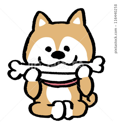 A simple and cute Shiba Inu character with a two-headed body A simple and cute Shiba Inu character with a two-headed body 116440258