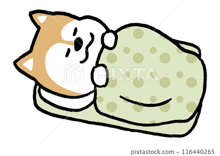 A simple and cute Shiba Inu character with a two-headed body 116440265