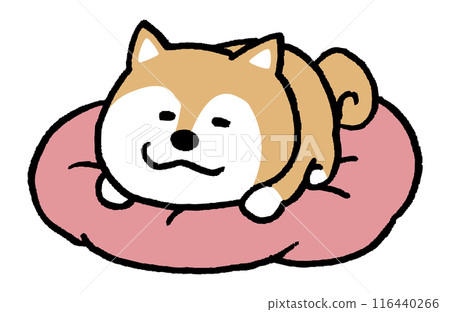 二頭簡單可愛柴犬人物素材 116440266