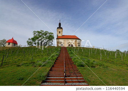 A church on a hill in the vineyards of Buzenec, a town near Kyjov, the base of the South Moravian steppe in the Czech Republic A church on a hill in the vineyards of Buzenec, a town near Kyjov, the base of the South Moravian steppe in the Czech Republic 116440594