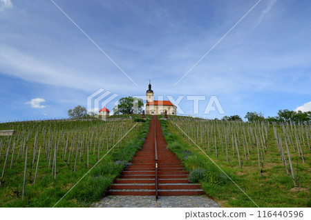 A church on a hill in the vineyards of Buzenec, a town near Kyjov, the base of the South Moravian steppe in the Czech Republic 116440596