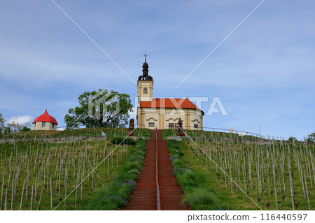 A church on a hill in the vineyards of Buzenec, a town near Kyjov, the base of the South Moravian steppe in the Czech Republic A church on a hill in the vineyards of Buzenec, a town near Kyjov, the base of the South Moravian steppe in the Czech Republic 116440597