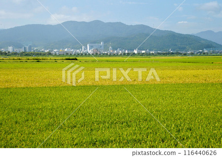 Japanese countryside Japanese countryside 116440626