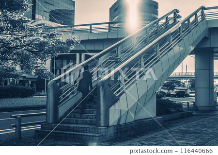 Middle-aged office worker doing outside sales 116440666