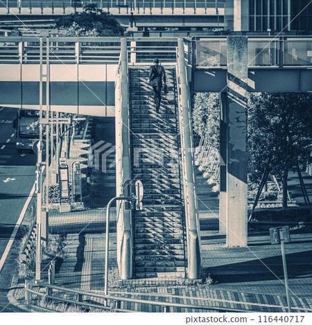 Middle-aged office worker doing outside sales 116440717