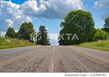 Empty countryside road with lush green trees and blue sky with clouds 116440781
