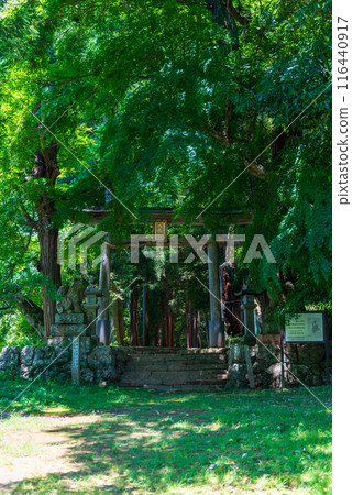 Kyotanba Town Shitsubi Hachiman Shrine surrounded by fresh greenery 116440917