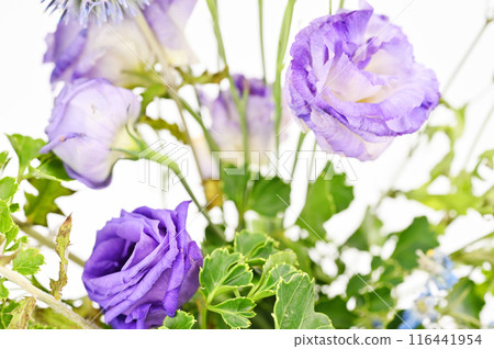 Part of a bouquet 05 Part of a bouquet 05 116441954
