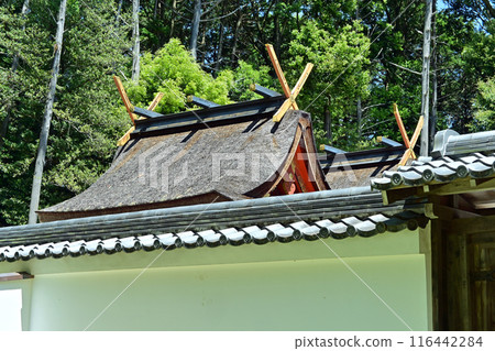 Oharano Shrine Main Hall Oharano Shrine Main Hall 116442284