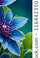 purple lotus flower blooming in the garden 116442350