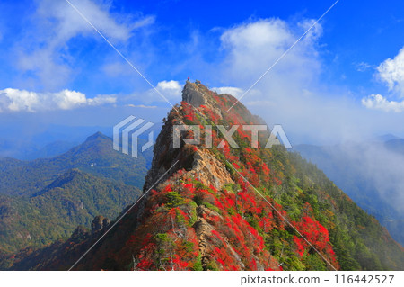 [Ehime Prefecture] Mt. Tengu (Mt. Ishizuchi) with autumn leaves shrouded in fog 116442527