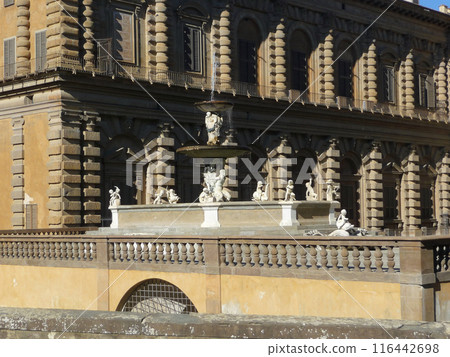 Palazzo Pitti, Florence, Italy Palazzo Pitti, Florence, Italy 116442698