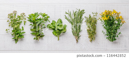 Various herbs and spices on the table 116442852