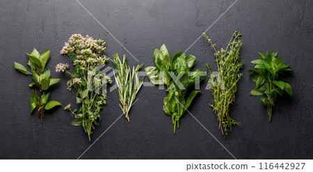 Various herbs on the table 116442927