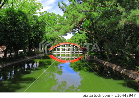 [Osaka Prefecture] Symmetrical Sori Bridge (Taiko Bridge) of Sumiyoshi Taisha Shrine 116442947