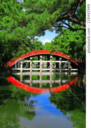 [Osaka Prefecture] Symmetrical Sori Bridge (Taiko Bridge) of Sumiyoshi Taisha Shrine 116442949