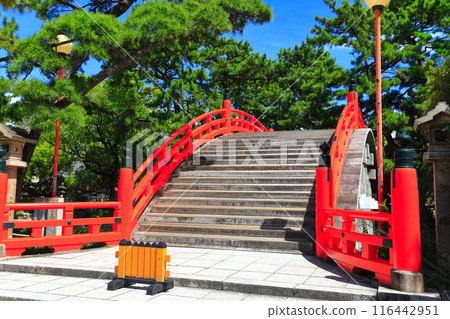 [Osaka Prefecture] Sumiyoshi Taisha Shrine Sori Bridge (Taiko Bridge) on a clear day 116442951