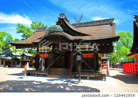 [Osaka Prefecture] Sumiyoshi Taisha Main Shrine (Third Main Shrine) on a sunny day 116442959