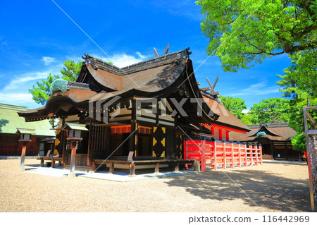 [Osaka Prefecture] Sumiyoshi Taisha Main Shrine (Third Main Shrine) on a sunny day 116442969
