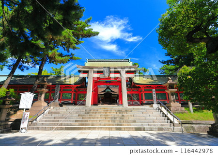 [Osaka Prefecture] Sunny Sumiyoshi Taisha (Kojumon) 116442978